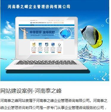 【焦作網站開發實力排行榜/網站開發實力哪家強/高端網站建設公司】價格,廠家,網站建設-搜了網