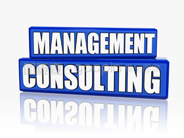 藍(lán)色區(qū)塊的管理咨詢(xún) 戰(zhàn)略規(guī)劃與效率提升的融合之道