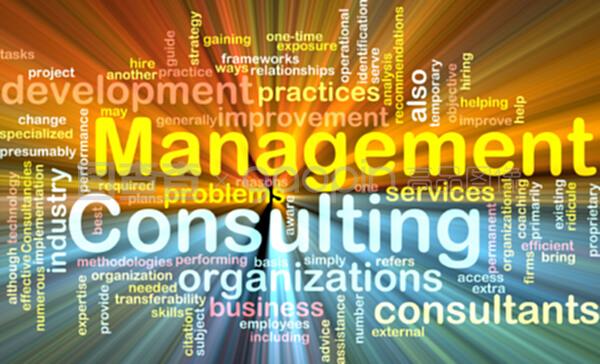 管理咨詢(xún) 企業(yè)發(fā)展的智慧引擎